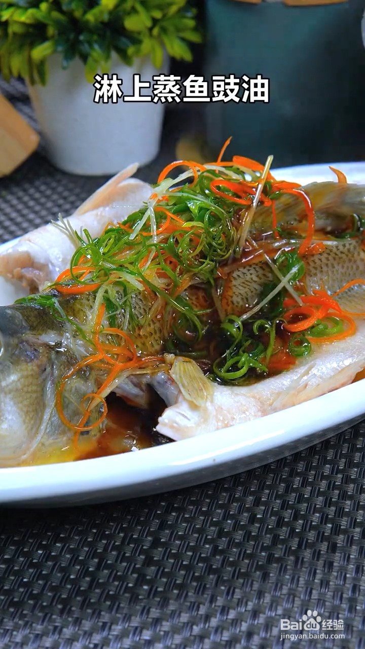 如何制作清蒸鲈鱼？