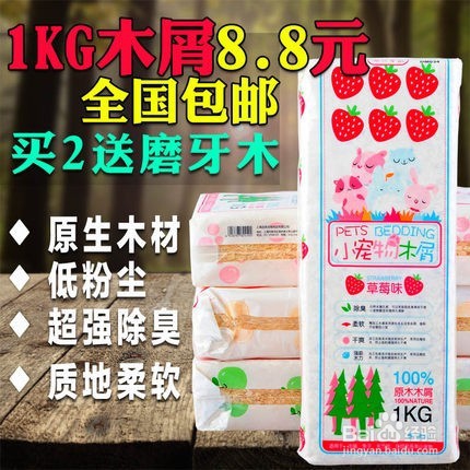 仓鼠怎么养呢?(简单版)
