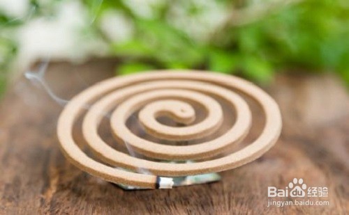 夏季屋里有蚊子应该怎么办?