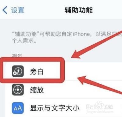 怎么设置iphone单一导览样式