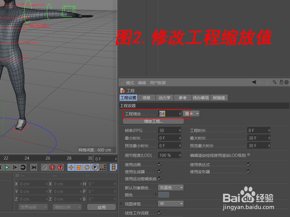 C4D绑定骨骼的象如何进行缩放