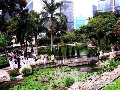 怎么样快速融入香港的生活如何快速融入香港
