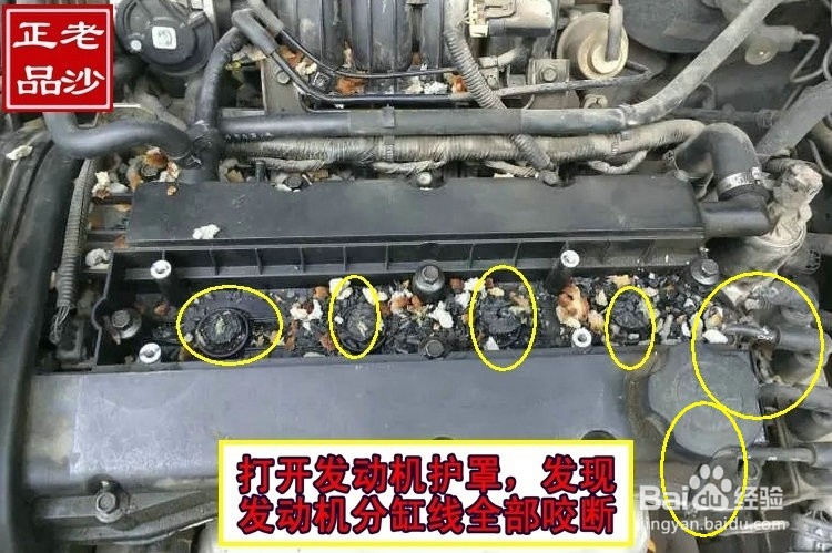 发动机舱防鼠包,防鼠器,小汽车进老鼠解决办法