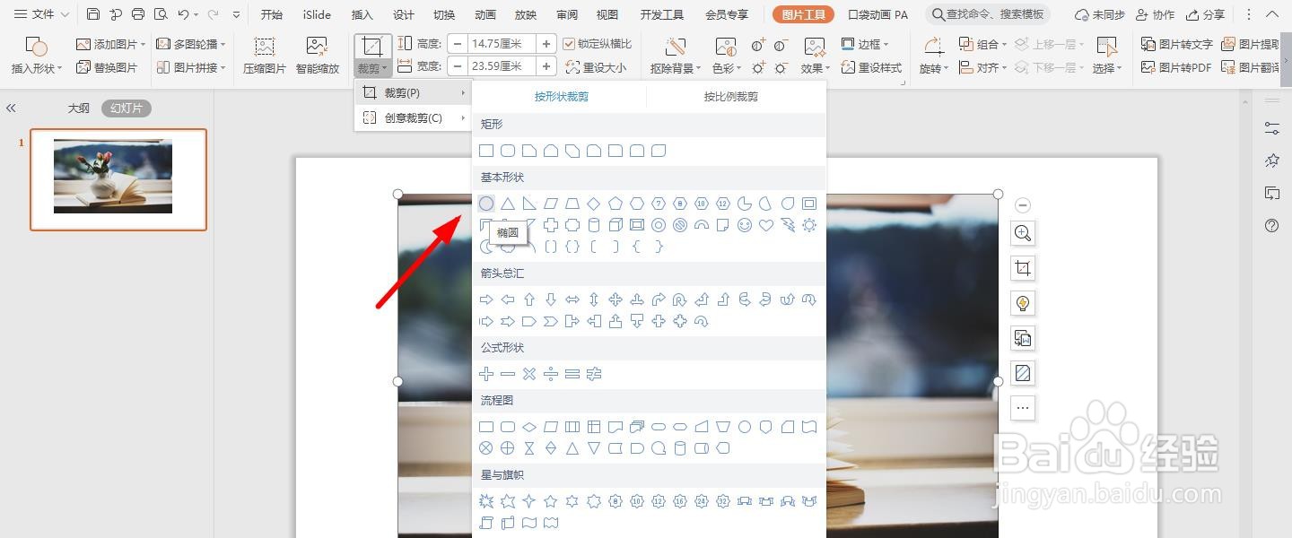 图片裁剪成圆形ppt教程