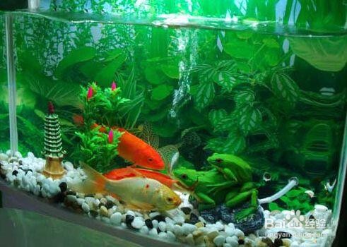 冬天家里太干燥了怎么办?