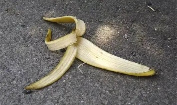 香蕉皮一晒、一泡,胜过花肥,根粗,抗冻强