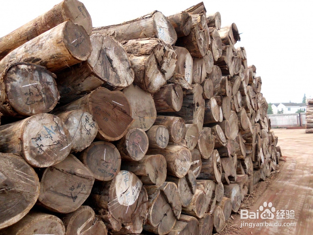 哪些硬木适合做家具