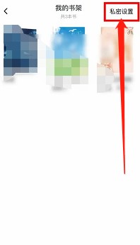 番茄小说如何才能将书架的书设置为私有