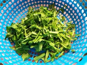 蒜蓉茄子芝麻菜的美味做法