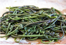 如何做香炒蕨菜