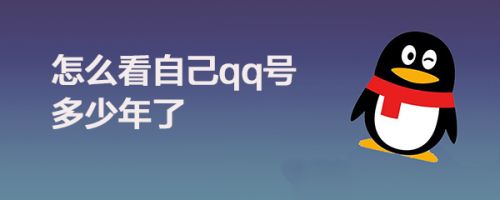 怎么看自己qq号多少年了