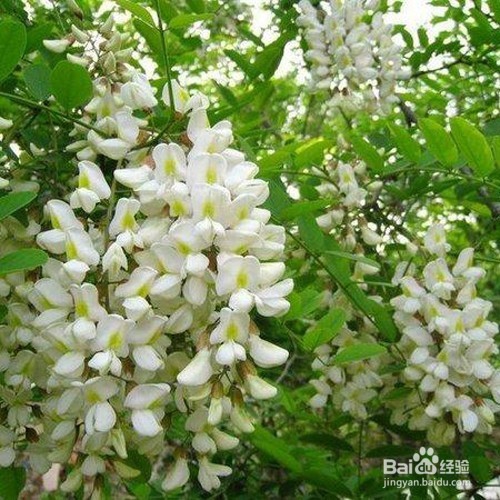 怎么样提高记忆力