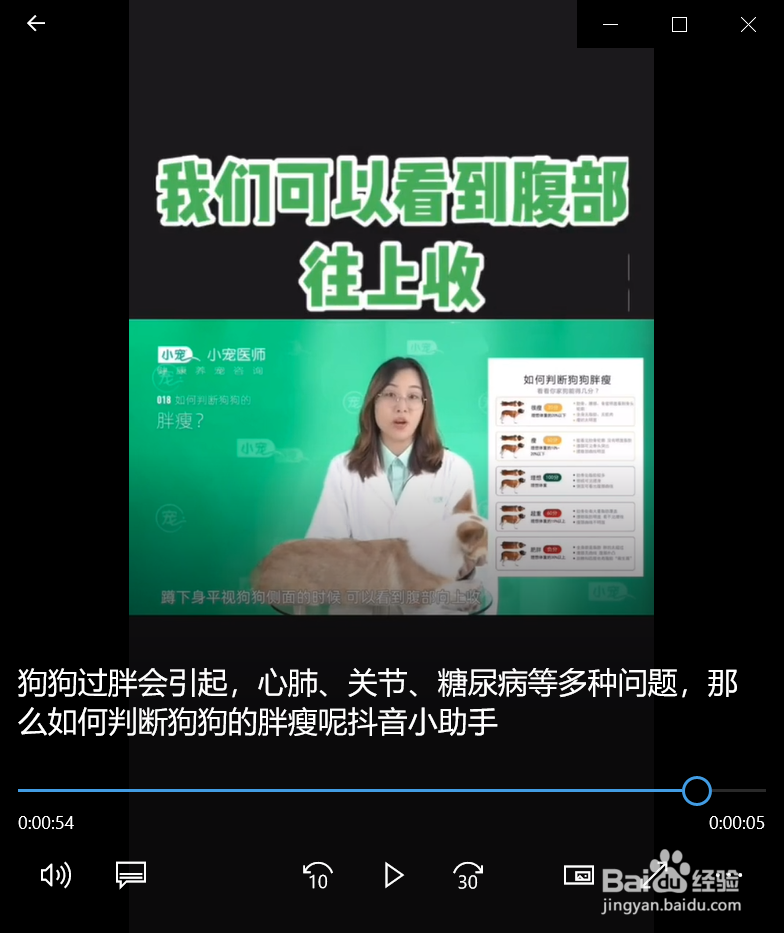 如何正确的判断狗狗胖瘦呢？