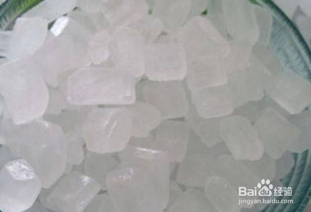 哪种梨适合煮梨水喝