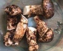 赤松茸怎么洗干净