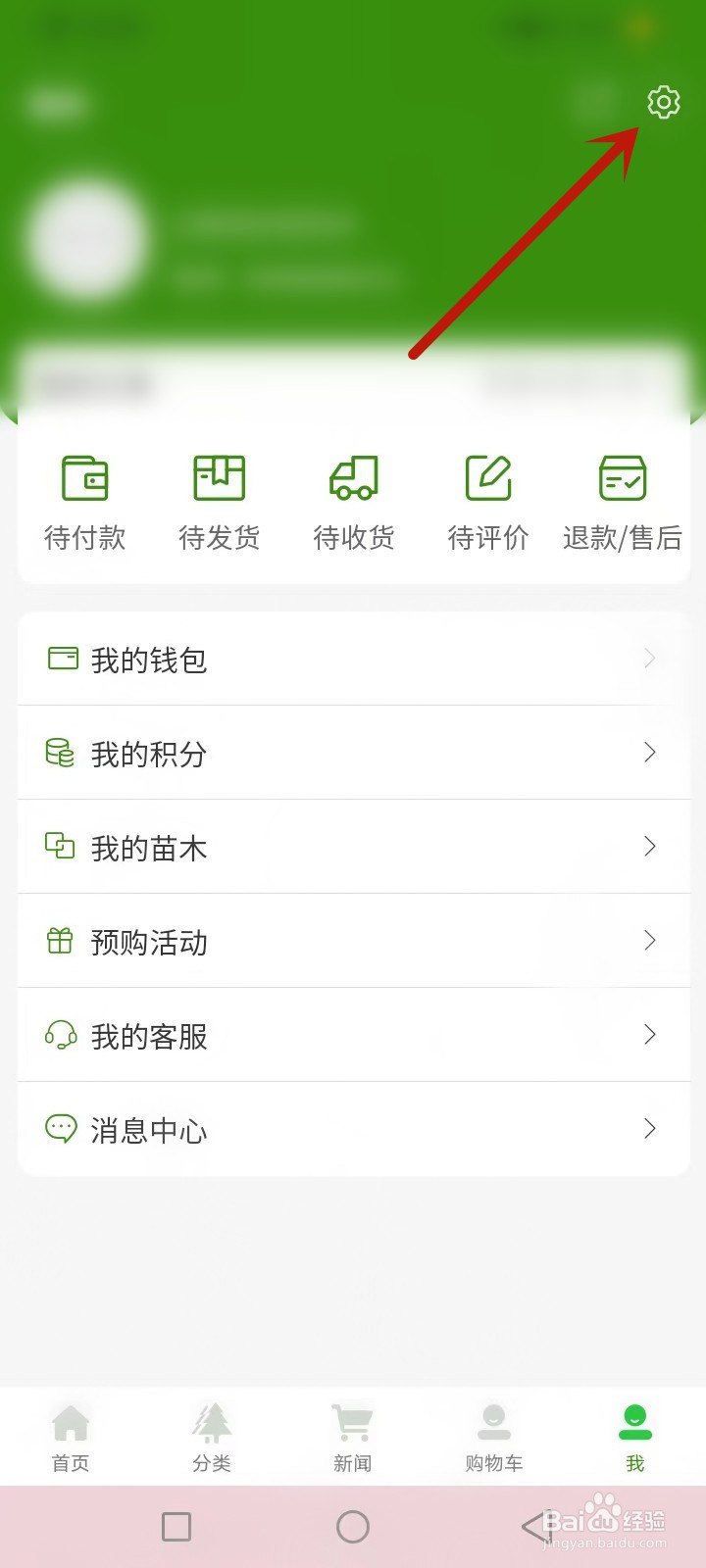 问苗怎么实名验证