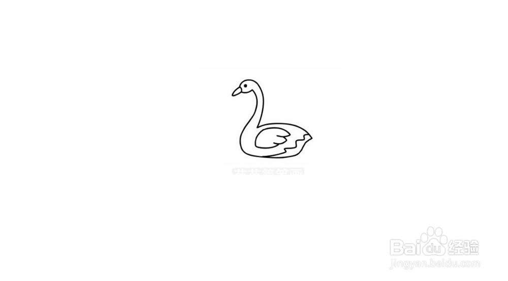 天鹅简笔画教程