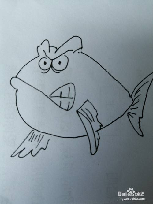 生气的小胖鱼怎么画