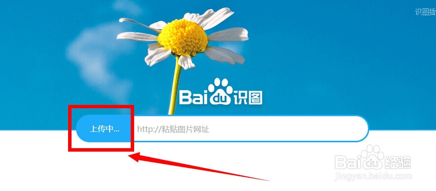 怎样使用百度识图来搜索查找图片?