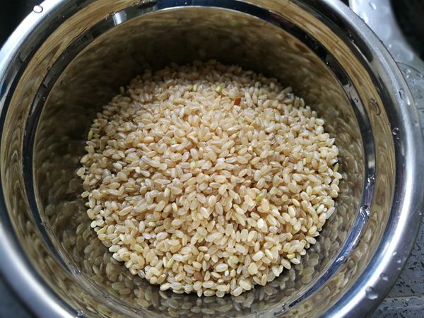 杂蔬糙米蛋炒饭