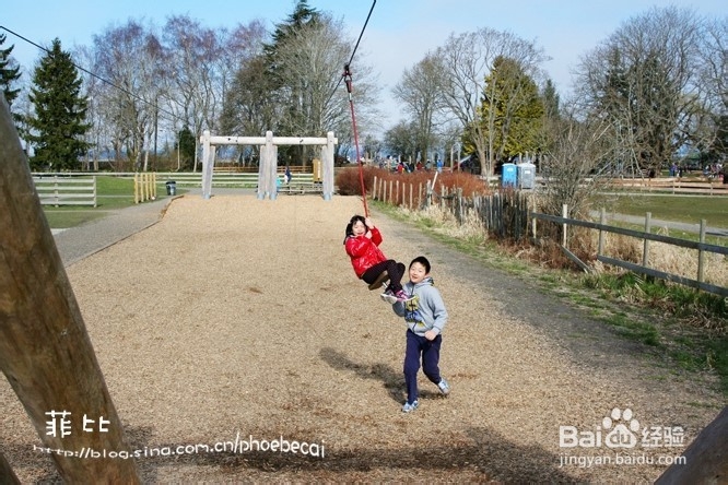 温哥华百万木头公园