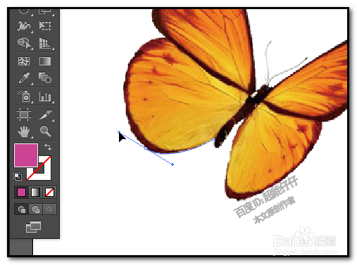 illustrator钢笔工具怎么用 AI如何用钢笔描图形