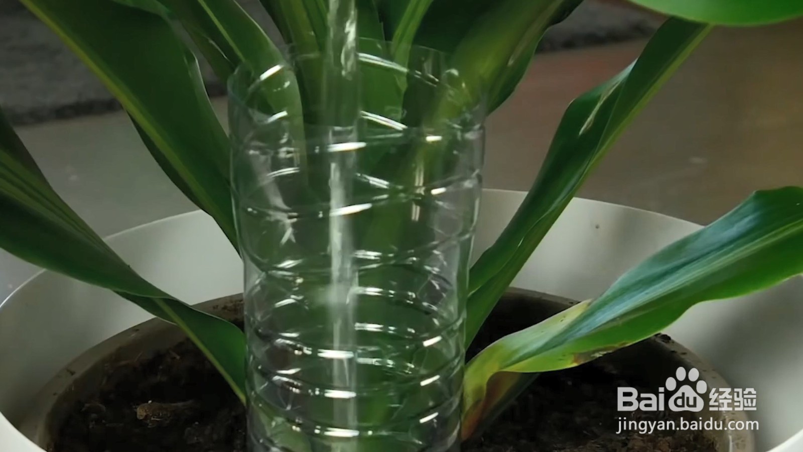 如何制作自动浇水神器？