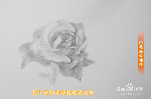 铅笔画玫瑰花步骤教程