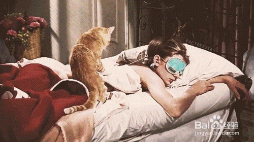 很多人爱泡在咖啡馆里看书和工作的原因