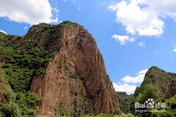飞狐为邻,揭秘养在深闺中的空中草原!