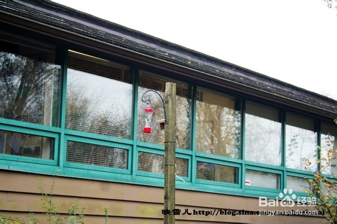 温哥华小学生郊游学什么