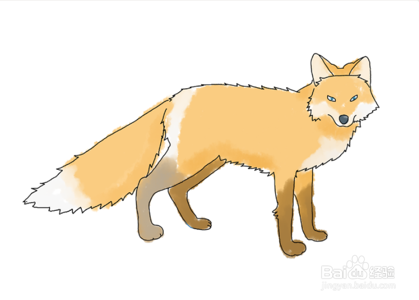 如何画一只站立的狐狸