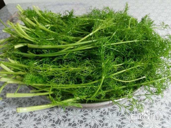 胃寒胃酸老人的饮食需要注意什么