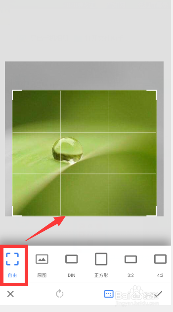 snapseed怎么裁剪图片