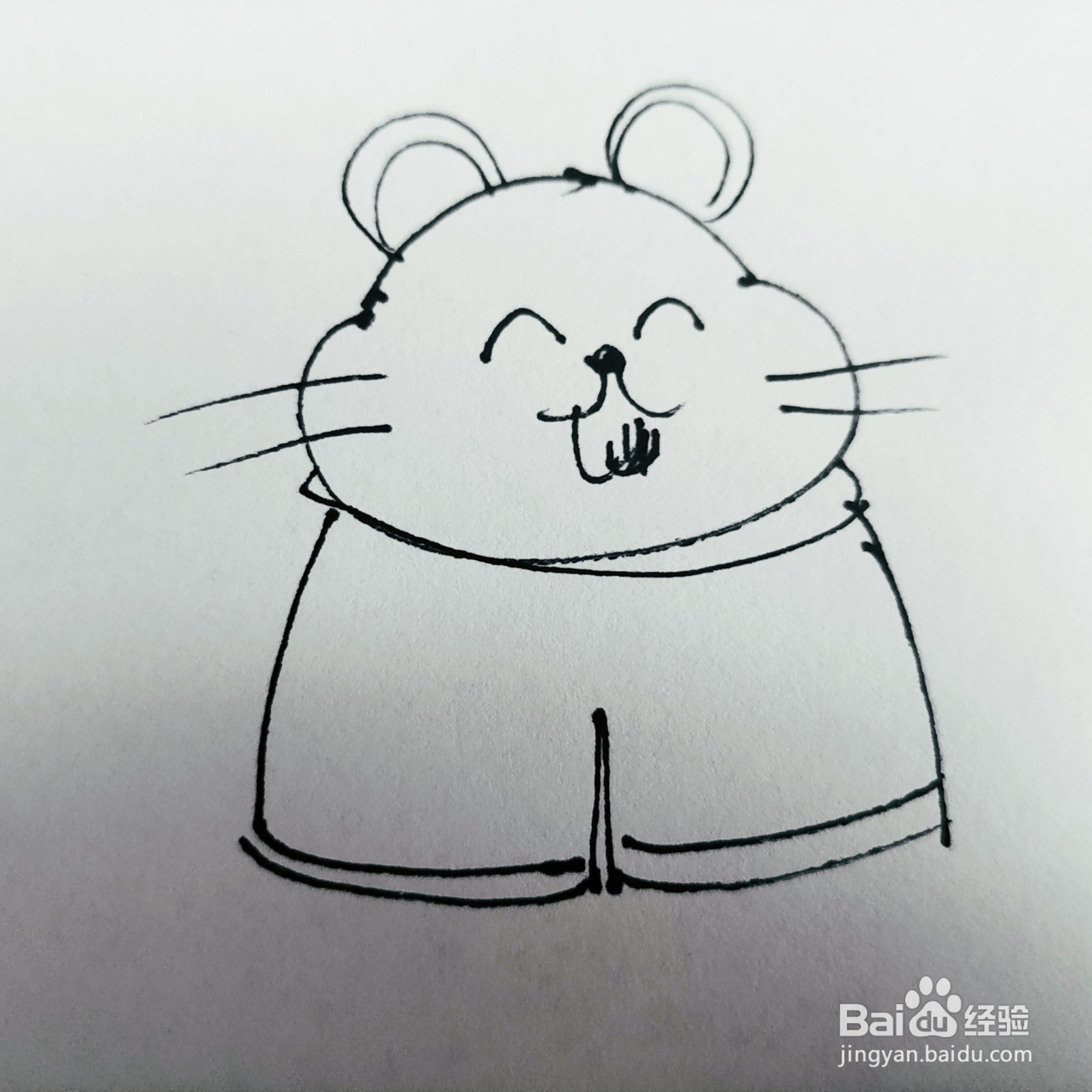 如何来画一只卡通胖嘟嘟的老鼠简笔画呢