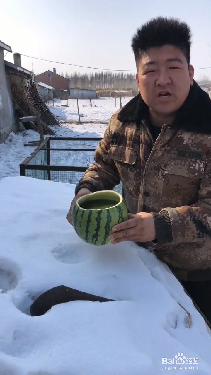 超级简单易学的西瓜抹茶果冻怎样做