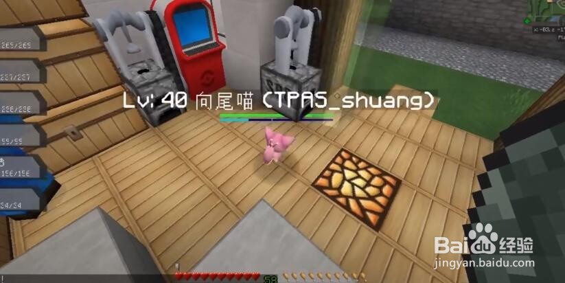 我的世界神奇宝贝向尾喵怎么进化