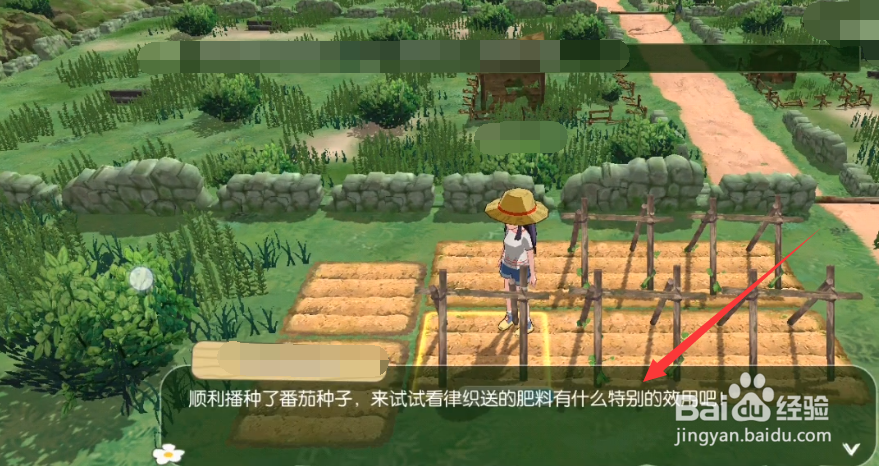 小森生活怎么施肥