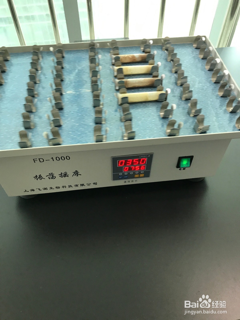 花生油等植物油中黄曲霉毒素B1快速定量检测操作