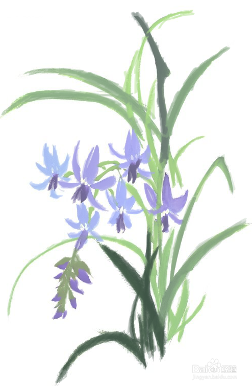怎样画兰草好看