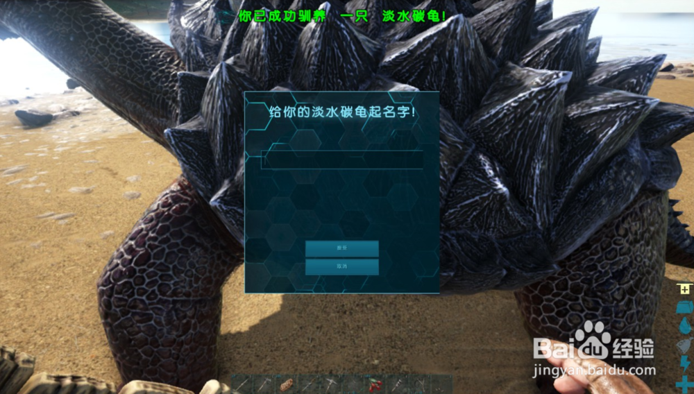 方舟生存进化如何驯服淡水碳龟