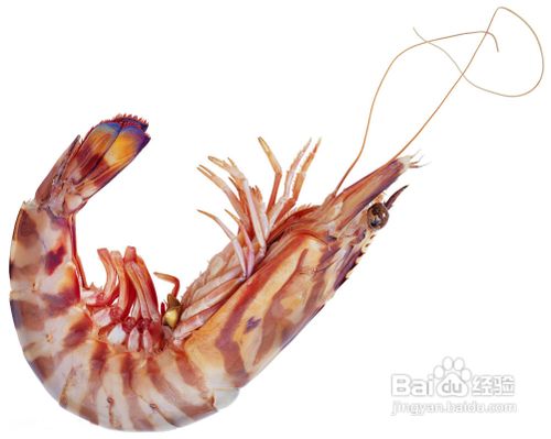 生活中常见有哪些药物与食物不能同食