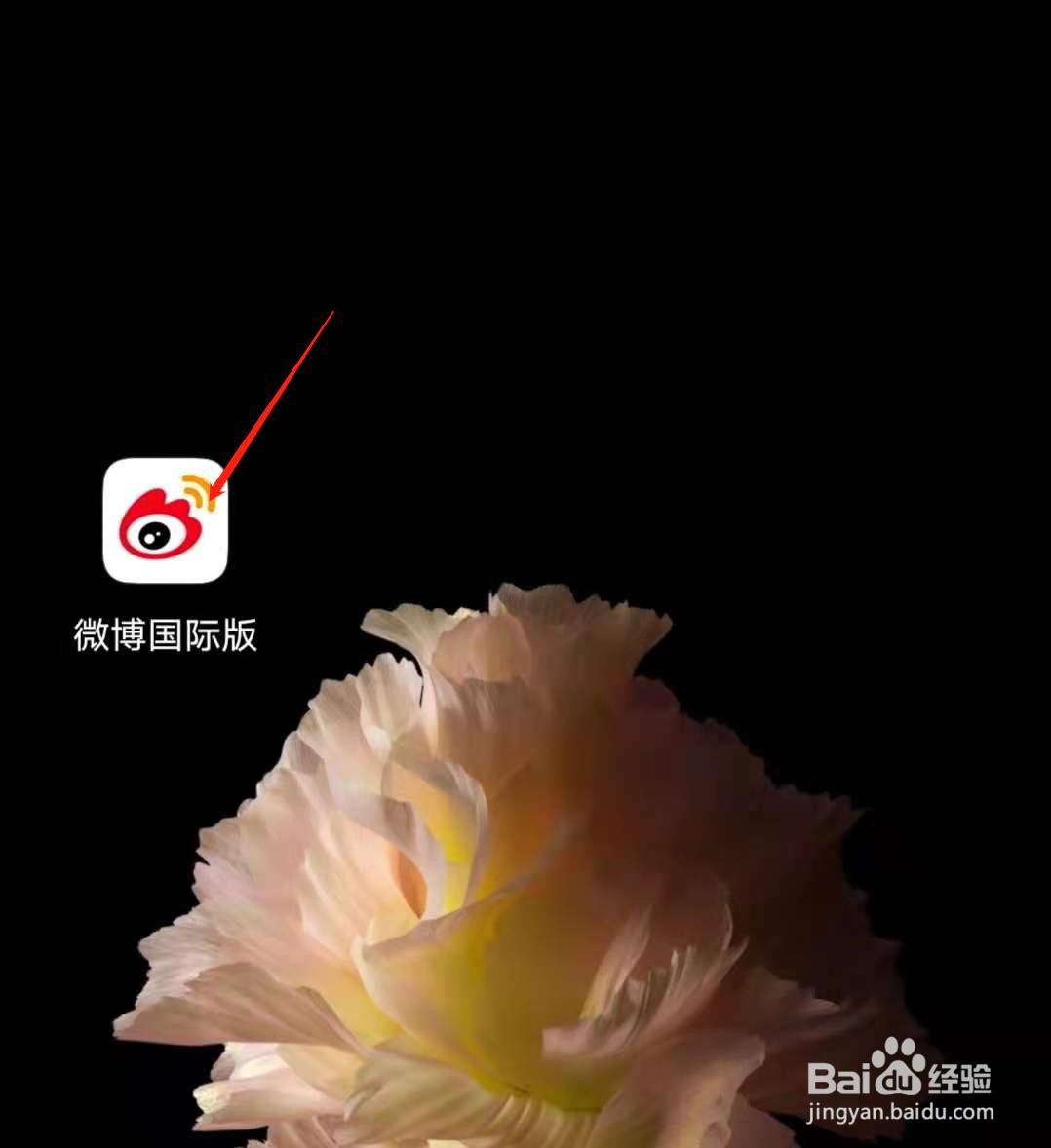 如何在微博国际版app中修改登录密码?