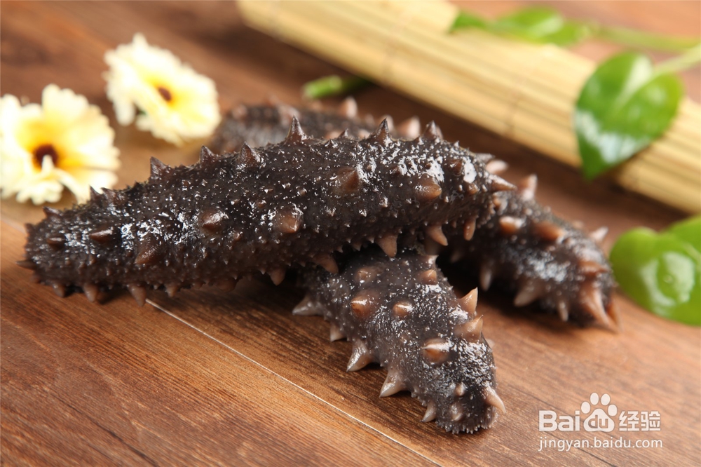 海参是如何繁殖的?