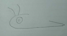 教你画蜗牛的简笔画