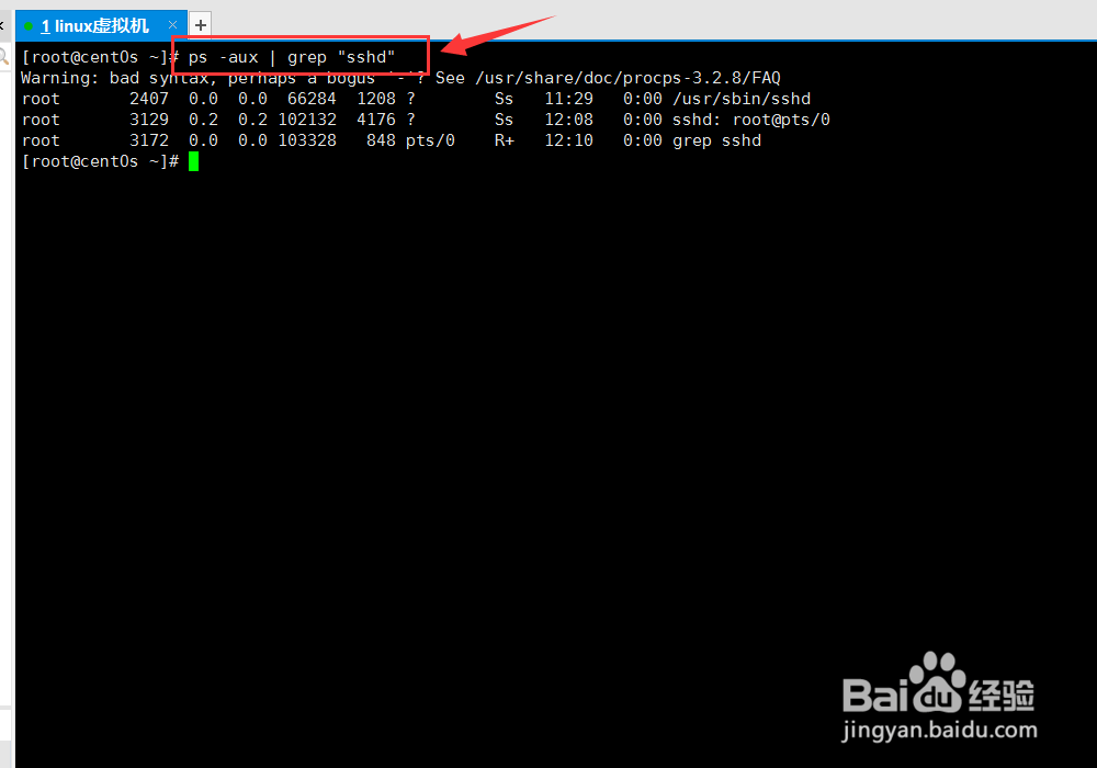 linux查看进程