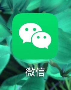 微信如何找到收付款码