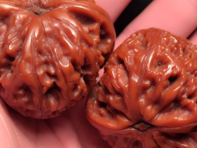 核桃可以涂橄榄油吗