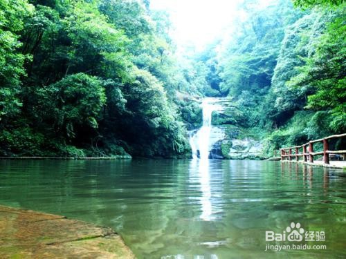 雅安碧峰峡游玩攻略