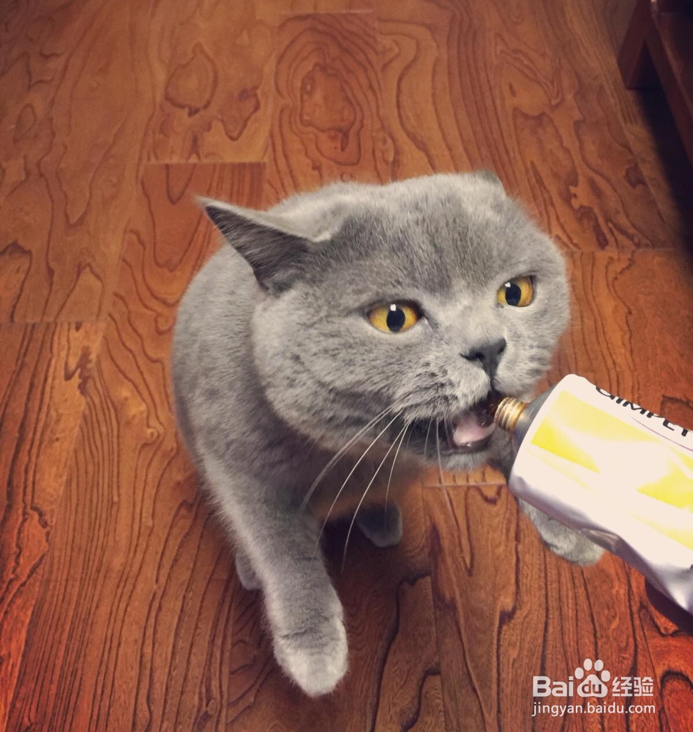 猫咪吃“猫食”会营养失调